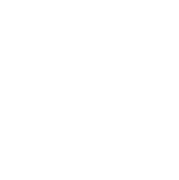 Foxy Studio